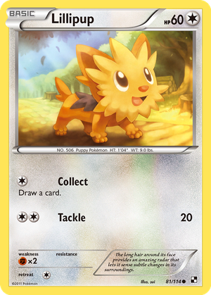 Lillipup card image