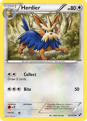 Herdier card image