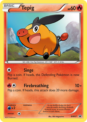 Tepig card image