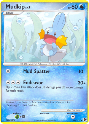 Mudkip card image