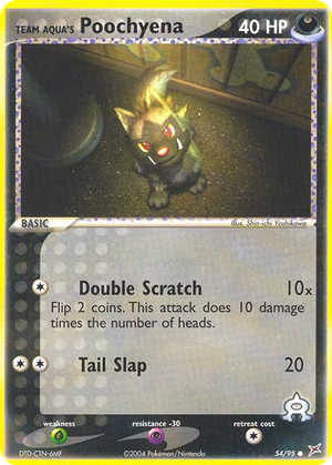 Team Aqua's Poochyena card image