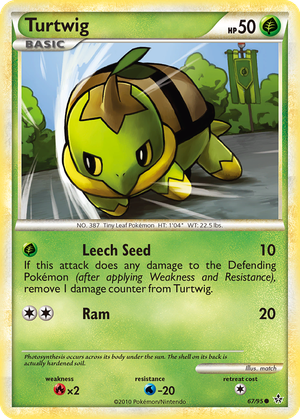 Turtwig card image