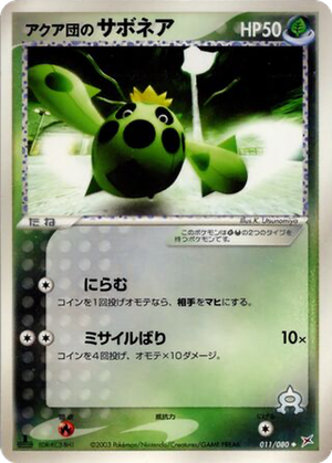 Team Aqua's Cacnea card image