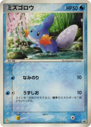 Mudkip card image