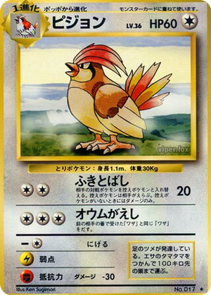 Pidgeotto card image