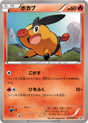 Tepig card image