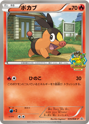 Tepig card image