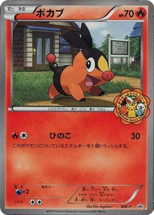 Tepig card image