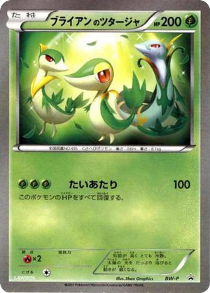 _____'s Snivy card image