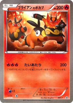 _____'s Tepig card image
