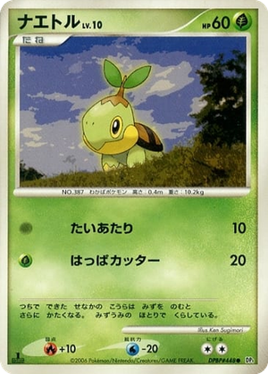 Turtwig card image