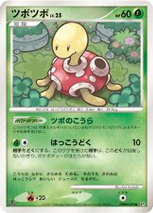 Shuckle card image