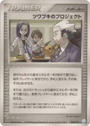 Mr. Stone's Project card image