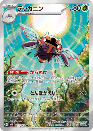 Ninjask card image