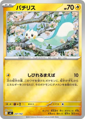 Pachirisu card image