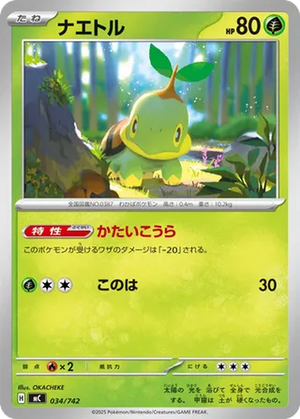 Turtwig card image