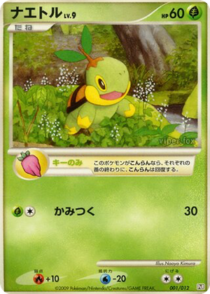 Turtwig card image