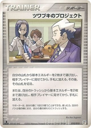 Mr. Stone's Project card image