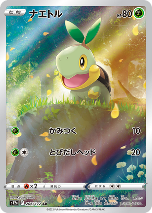 Turtwig card image