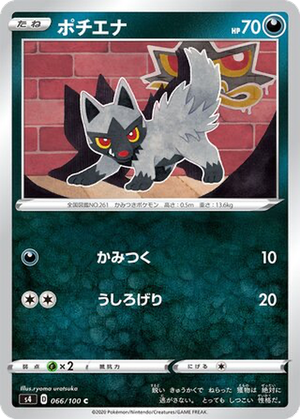 Poochyena card image