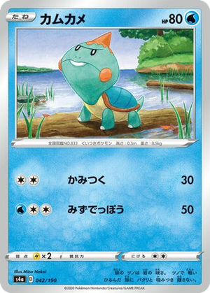 Chewtle card image