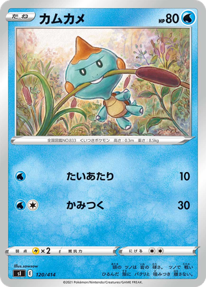 Chewtle card image