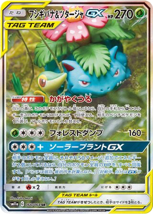 Venusaur & Snivy GX card image