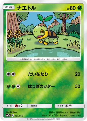 Turtwig card image