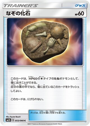 Unidentified Fossil card image