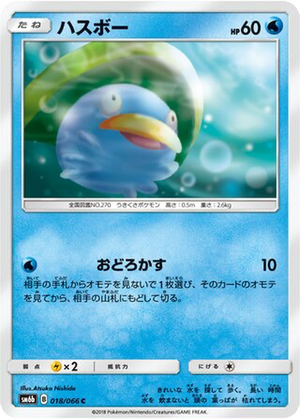 Lotad card image