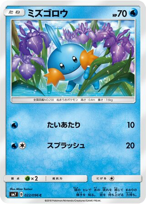 Mudkip card image