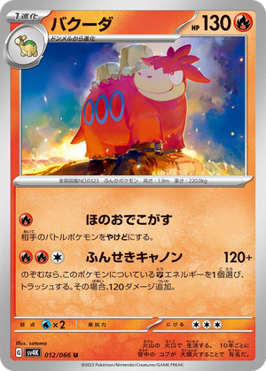 Camerupt card image