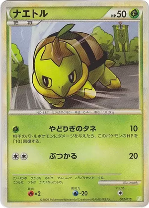 Turtwig card image