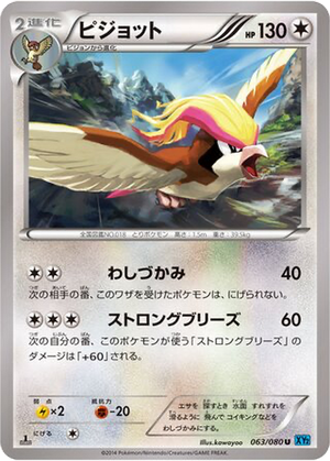 Pidgeot card image