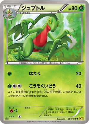 Grovyle card image