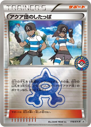 Team Aqua Grunt card image