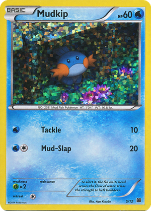 Mudkip card image