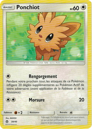 Lillipup card image