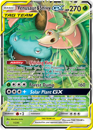 Venusaur & Snivy GX card image