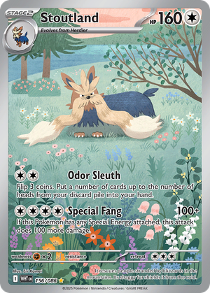 Stoutland card image