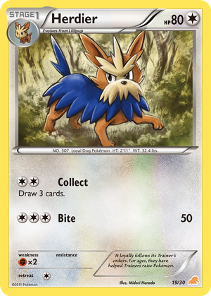 Herdier card image