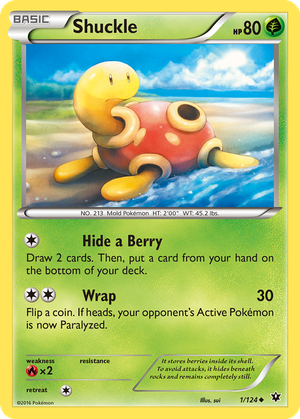 Shuckle card image