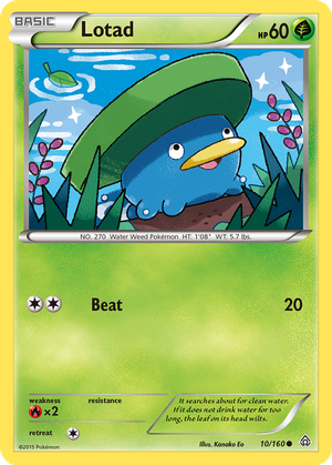 Lotad card image